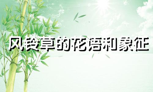 风铃草的花语和象征 风铃草的含义和代表