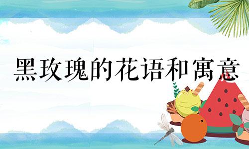 黑玫瑰的花语和寓意 黑骑士玫瑰花语