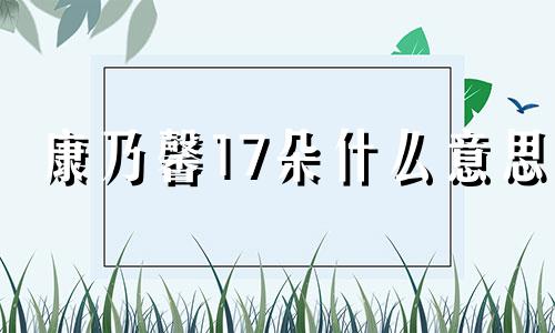 康乃馨17朵什么意思 康乃馨16朵代表什么