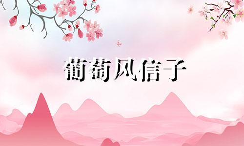 葡萄风信子 花语 葡萄风信子的花期