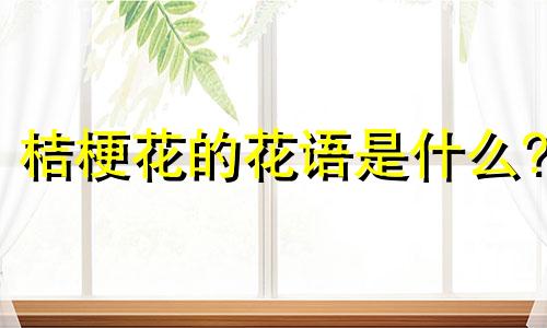 桔梗花的花语是什么? 桔梗花的花语和寓意