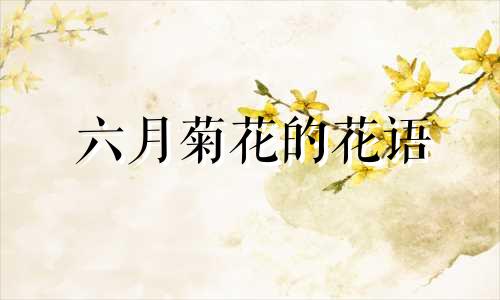 六月菊花的花语 六月菊代表什么