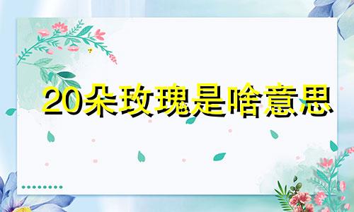 20朵玫瑰是啥意思 20朵玫瑰啥意思