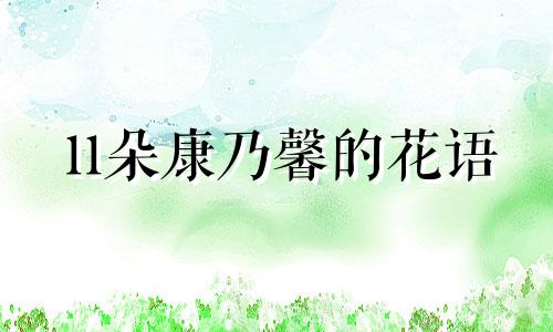 11朵康乃馨的花语 11只康乃馨的花语是什么意思?