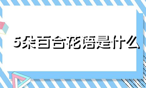 5朵百合花语是什么 5朵百合花的寓意