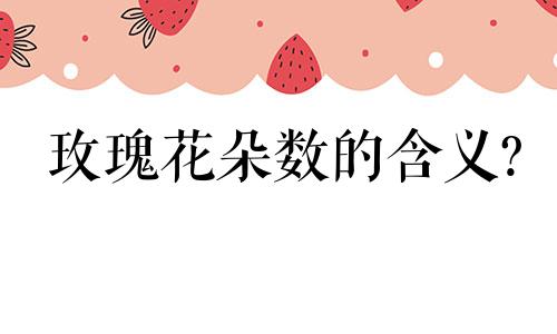 玫瑰花朵数的含义? 玫瑰花朵数的寓意和花语