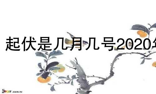 起伏是几月几号2020年 起伏是哪天2020