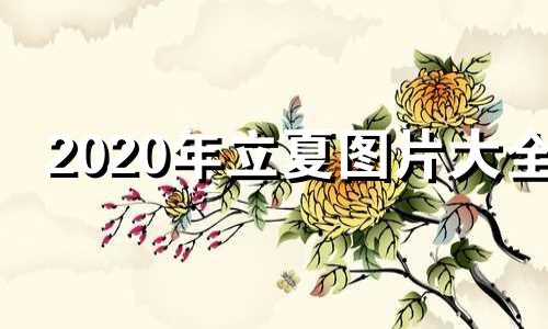 2020年立夏图片大全 立夏祝福语