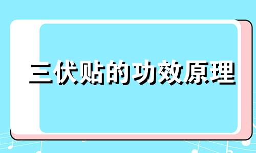 三伏贴的功效原理 三伏贴的用处和效果