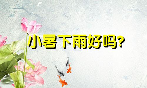 小暑下雨好吗? 小暑下雨好还是不下雨好