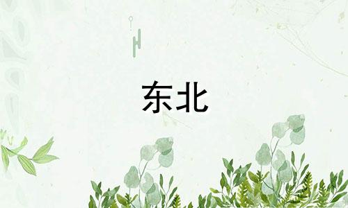 东北 冬至吃什么 冬至北方吃