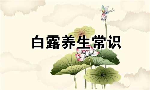 白露养生常识 白露如何养生白露养生记住四个秘诀三九养生堂