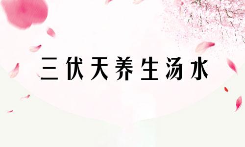 三伏天养生汤水 三伏养生汤怎么做