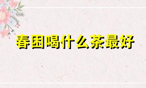 春困喝什么茶最好 春困适合哪种茶