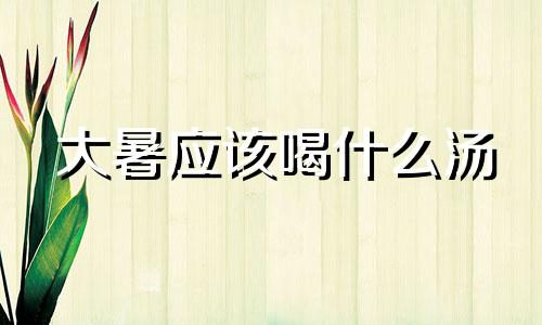 大暑应该喝什么汤 大暑煲什么养生汤