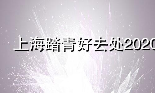 上海踏青好去处2020 上海 踏青