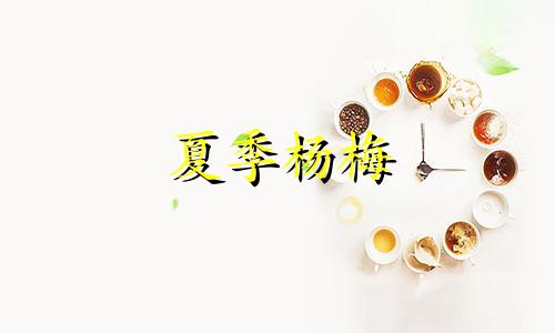 夏季杨梅 山上杨梅