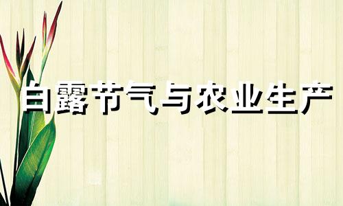 白露节气与农业生产 白露气候