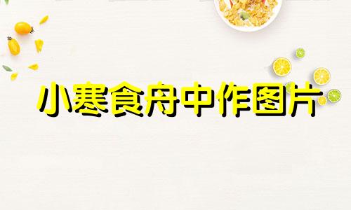 小寒食舟中作图片 小寒食舟中作的翻译