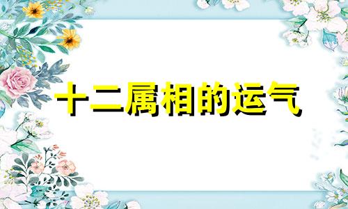 十二属相的运气 十二属属相