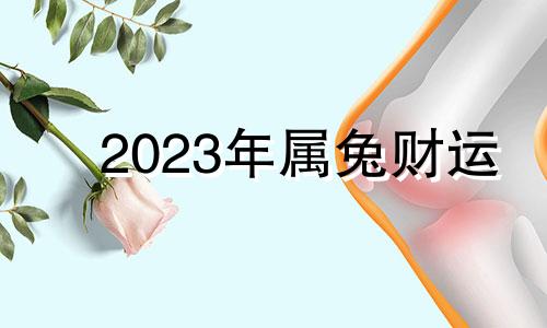 2023年属兔财运 2023年生肖兔