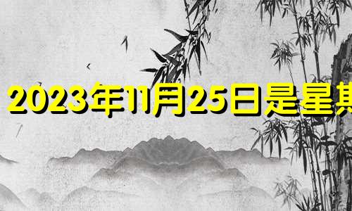 2023年11月25日是星期几 2020年11月27日可以安门吗