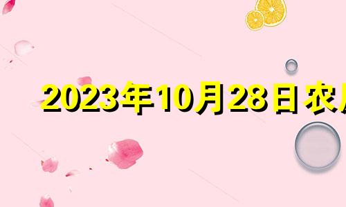 2023年10月28日农历 2043年10月28日