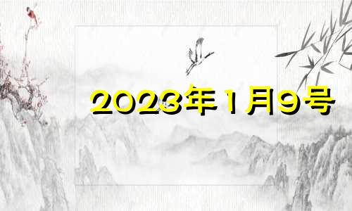 2023年1月9号 2021年1月9日适合进新房吗