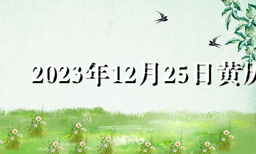 2023年12月25日黄历 12月25号适合入宅吗