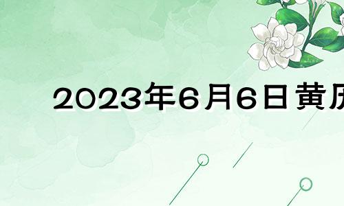 2023年6月6日黄历 2023年六月初九是几月几号