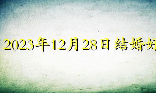 2023年12月28日结婚好吗 2020年12月23结婚