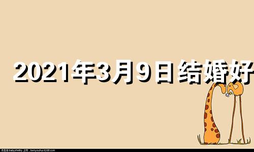 2021年3月9日结婚好吗 2023年3月3日适合结婚