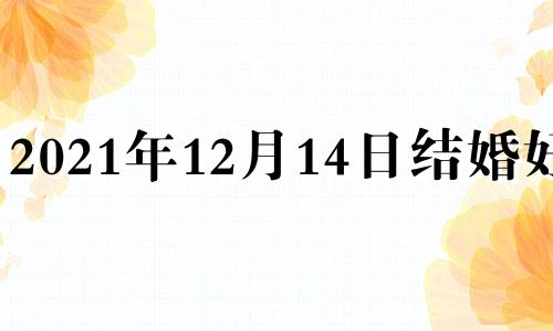 2021年12月14日结婚好吗 12月14日结婚好吗