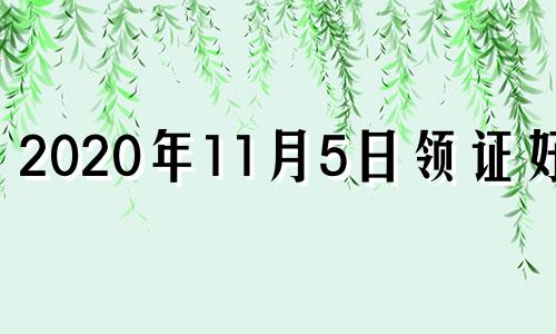 2020年11月5日领证好吗 2020年11月5号适合结婚吗