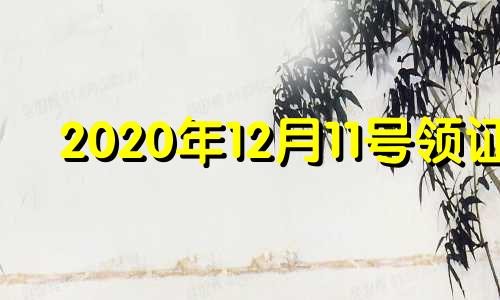 2020年12月11号领证 2021年11月12日领证