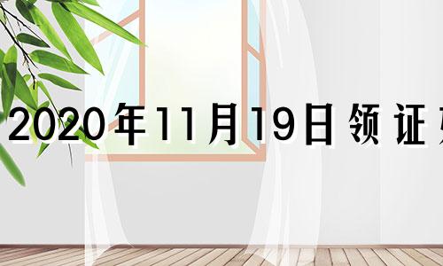 2020年11月19日领证好吗 11月19号适合领证吗