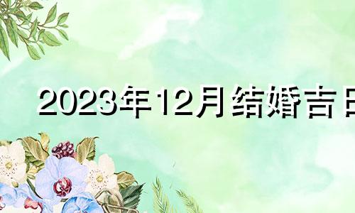 2023年12月结婚吉日 2023年12月份万年历