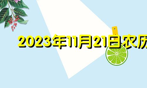 2023年11月21日农历 2021年11月23日黄道吉日