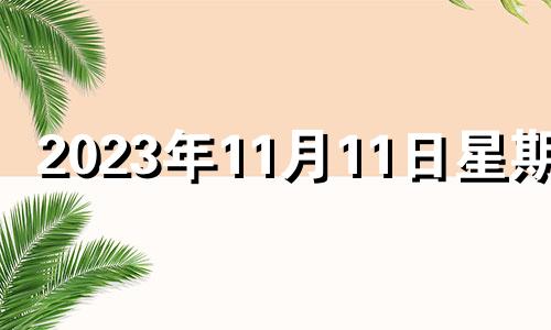 2023年11月11日星期几 2023年十一月