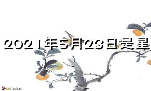 2021年5月23日是星期几? 5月23号星期几?