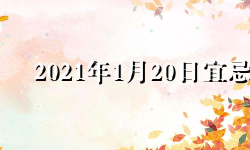 2021年1月20日宜忌 2022年1月20日日子好吗