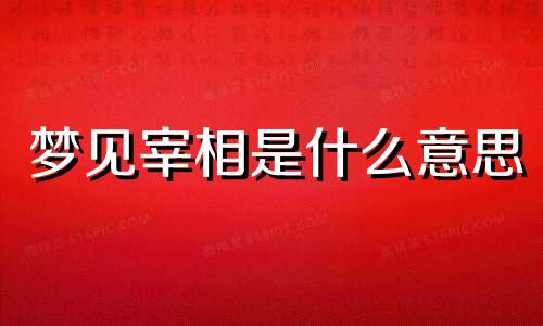 梦见宰相是什么意思 梦见宰相梦林玄解