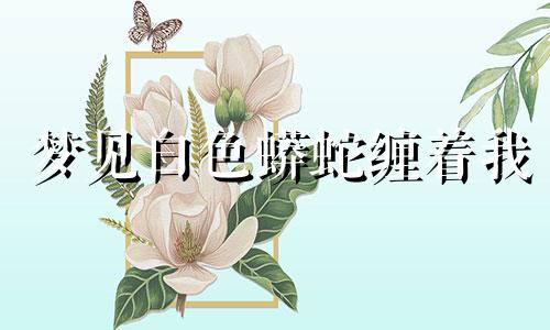 梦见白色蟒蛇缠着我 梦见白色蟒蛇追我是什么意思