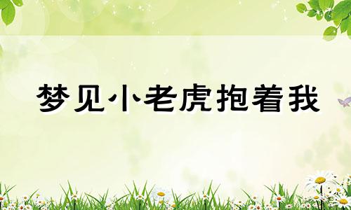 梦见小老虎抱着我 梦见老虎抱我是什么预兆