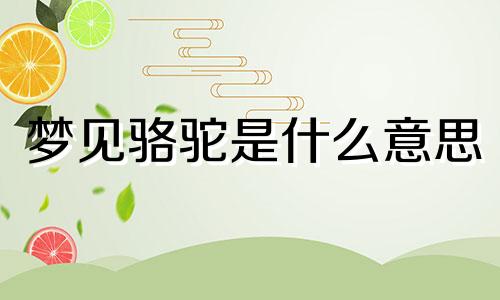 梦见骆驼是什么意思 梦见骆驼追我是什么预兆