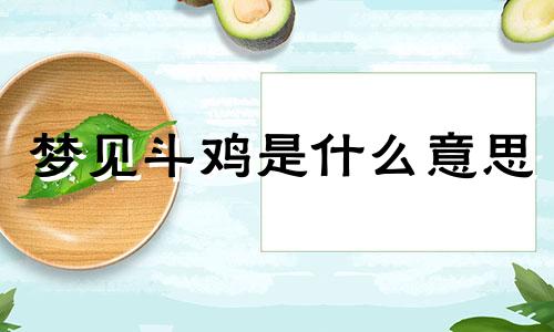 梦见斗鸡是什么意思 梦见斗鸡公是什么意思