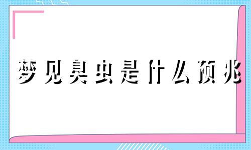 梦见臭虫是什么预兆 梦见臭虫是什么意思