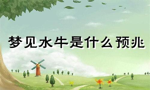 梦见水牛是什么预兆 梦见水牛发怒狂奔乱跑