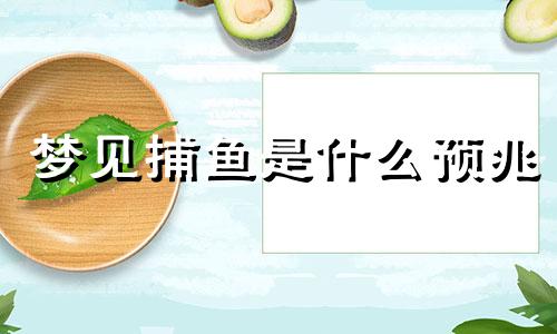 梦见捕鱼是什么预兆 男性