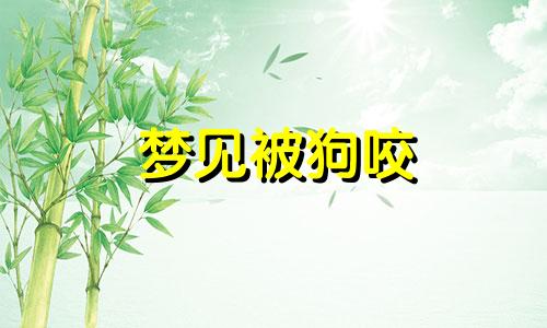 梦见被狗咬